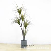 uploads/erp/collection/images/Home Garden/dgjiawang/XU0612902/img_b/XU0612902_img_b_4